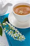 Cup of bird-cherry tea close-up