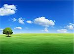 Open field of natural landscape with lush green grass and blue sky