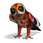 fantasy owl with rainbow colors. 3D rendering with clipping path and shadow over white