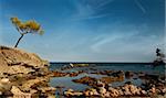 Ruins of antic port Phaselis, Turkey, Anatolia