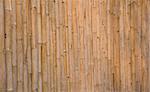 Bamboo wall of the house