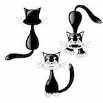 Black cat set. Vector illustration on white background for design.