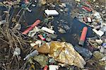 littered river, photo of wild dumps ground throws the litter about