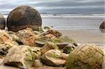 Rock formation called Moeraki Boulders in New Zealand