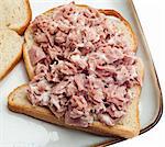 Open Face Tuna Salad Sandwich Healthy Lunch.