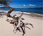 Hawksnest Bay on the Caribbean island of St John in the US Virgin Islands