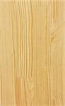 Wood grain texture. Pine wood