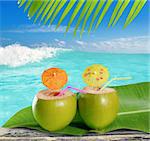 fresh tender green coconuts straw cocktails on tropical caribbean beach