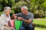 Retired couple with shopping bags