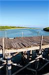 aged tropical wood bridge in Sian Kaan Tulum mexico