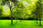 Green trees in park, a morning view.