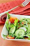 fresh salad with tomato and cucumber