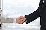business man and woman handshake on successful  meeting at bright office conference room indoor