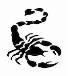 tribal scorpion tattoo isolated on white. Vector illustration
