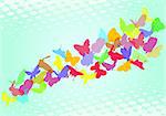 Butterfly`s in blue background, vector background