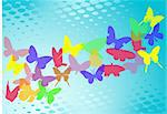 Butterfly`s in blue background, vector background