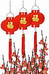 Chinese prosperity lanterns and plum blossom on white background