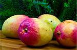 Ripe mango, ferns and bamboo counter