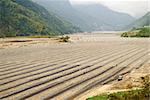 Farm of watermelon in Lanyang Plain, Yilan, Taiwan, Asia.