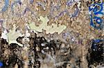 Old peeling grunge wall covered with messy graffiti and mold. Background texture.