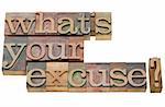 what is your excuse  -isolated question in vintage wood letterpress printing blocks