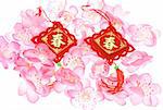 Chinese New Year ornaments and plum blossoms on white