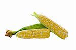 White and yellow corn- mixed corn on white background