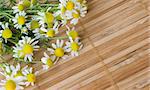 chamomile herb over wooden mat