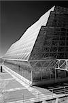 Monochrome presentation of the biosphere 2 in Arizona