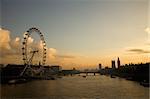 Westminster and London Eye seen from Hungerford Bridge