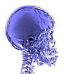 magnetic resonance (MR) 3d blue skull