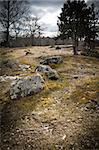 Stones and tree on a field in Sweden