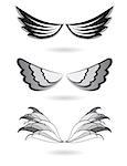 Set of angel wings. Illustration on white background.