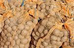 potatoes background from the small czech home farm