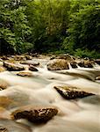 Fantastic river at Great Smoky Mountains National Park