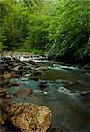 Fantastic river at Great Smoky Mountains National Park