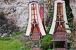 Toraja Traditional funeral tomb in Sulawasi, Indonesia