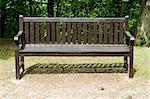 Frontal view of a wooden empty bench in a park
