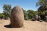 Decorated menhir in megalithic monument of Cromelech dos Almendres - Evora -Portugal