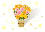 Illustration of bouquet of beautiful yellow and pink asters