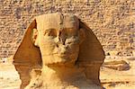 famous ancient egypt sphinx face and pyramid in Giza