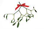 Mistletoe with berries and tied with a red bow isolated over white background.