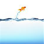 Goldfish Leaping Out Of Water, Isolated On White Background, Vector Illustration