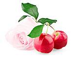 Pink rose and two red mini apples with leaf isolated on white background