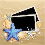 Pictures, shells and starfishes on sand background. Vector illustration.