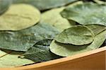 Dried coca (lat. Erythroxylum coca) leaves in a wooden bowl. In Peru coca leaves are drunk as tea and they are traditionally chewed in the mountains to help against altitude sickness (Selective Focus, Focus on the front edge of the small leaf on the right)