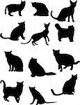 collection of cat silhouette - vector