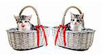 Adorable little kittens in baskets on white background with space for text