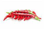 red hot chilli peppers isolated on white