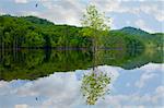 Scenic view of Cave Run Lake in Central Kentucky